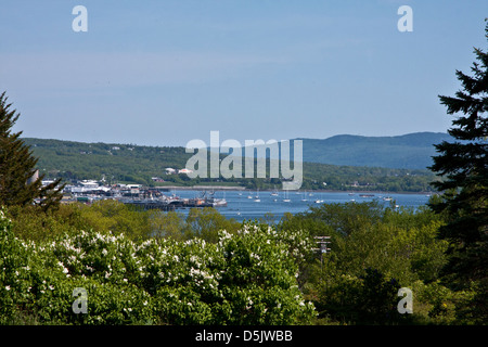 Rockland Harbor, Maine, l'été, cette vue de la winery, brise-lames Banque D'Images