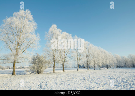 L'hiver dans la vallée de Waveney, Norfolk Banque D'Images