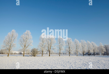 L'hiver dans la vallée de Waveney, Norfolk Banque D'Images