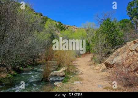 Une rivière coule à travers une forêt au printemps Banque D'Images