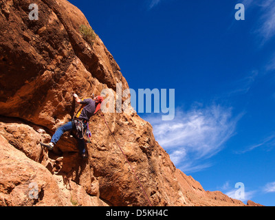 Les gens de l'escalade, Gorges du TODRA, le Maroc. Plus de 150 élèves de français classé à 5 + à 8 ont été vissés dans le canyon Banque D'Images