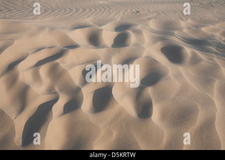 DUNES DE SABLE ; ; ; MOTIF ONDULATIONS ; CORPS ; CLOSE UP Banque D'Images