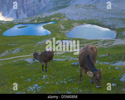 Dreischusterspitze (Punta dei tre scarperi / Cima di tre scarperi), parco naturale Dolomites Tyrol du sud, Italie, Banque D'Images