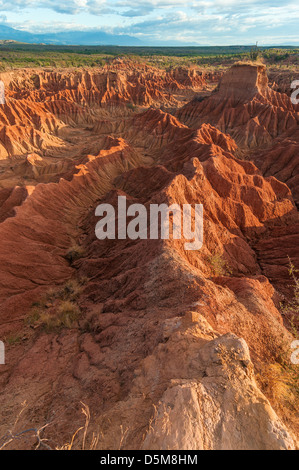 De belles formations de roche rouge en désert Tatacoa, Colombie Banque D'Images