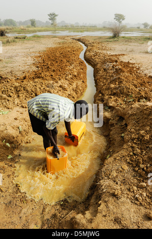 Zinder, NIGER Afrique village Zongon Soumaguela, agriculteur irriguer le jardin de légumes de saison sèche au cours de l'étang de l'eau Banque D'Images