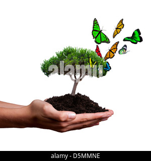Concept de l'écologie et du développement durable Banque D'Images
