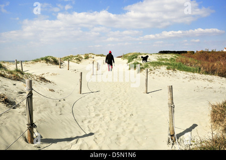 Homme marchant son chien sur le chemin à travers les dunes de sable à West Wittering Beach, West Sussex, Angleterre, Royaume-Uni Banque D'Images