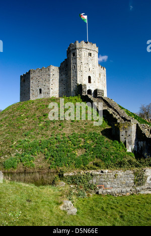 Donjon normand et des jonquilles, du château de Cardiff, Cardiff, Pays de Galles, Royaume-Uni. Banque D'Images