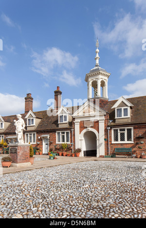 Grenouilles De Dessin Animé Grenouille Verte Sur L'étang Tenir Têtard