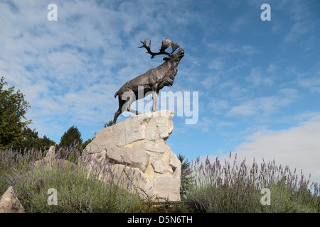 Érigé en 1925, le Caribou et le mémorial aux disparus dans le Parc commémoratif de Terre-Neuve, la Somme, France. Banque D'Images