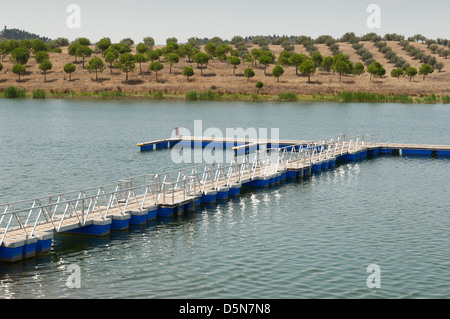 Dock flottant dans le réservoir de l'Amieira, Alqueva, Alentejo, Portugal Banque D'Images