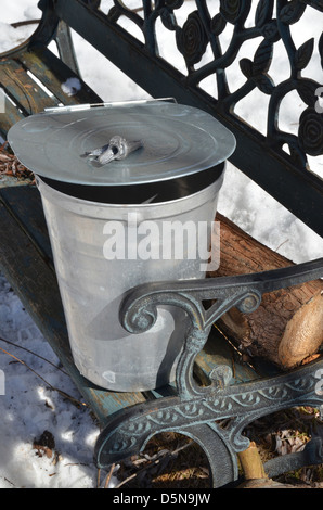 Les outils de collecte de l'eau d'érable - un robinet, couvercle et godet, reposer sur un banc à l'extérieur pays. Banque D'Images