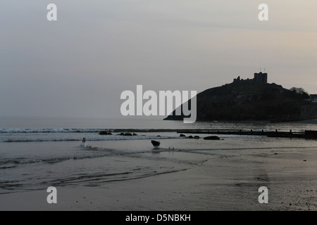 Chasse chiens ball sur plage et château de Criccieth à distance au coucher du soleil au printemps Banque D'Images