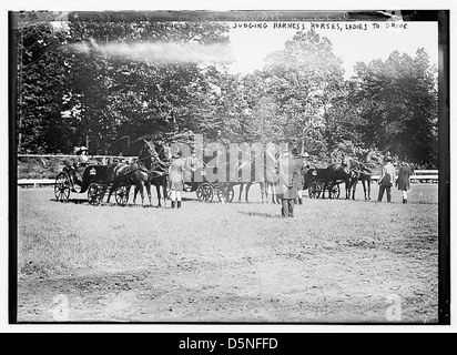 Plainfield, juger les chevaux du faisceau, chers à conduire (LOC) Banque D'Images