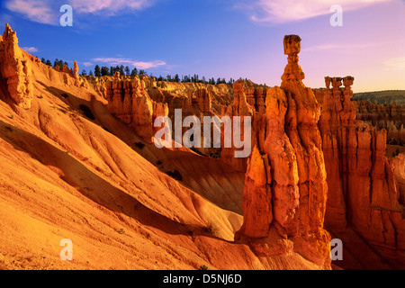 Thor's Hammer au parc national de Bryce Canyon dans l'Utah au lever du soleil. (ÉTATS-UNIS) Banque D'Images