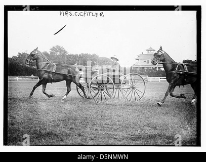 Cette photographie montre Mrs. C.C. Fitler dans les années 1910, capturé alors qu'il conduisait une calèche. L'image souligne son implication dans les activités équestres, avec un buggy à queue de bobinage et une pelouse bien entretenue. Banque D'Images