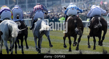 Trois petits bonhommes, Royaume-Uni. 6e avril 2013. Le Grand Festival National. Action de la John Smith's Liverpool obstacle. Credit : Action Plus de Sports / Alamy Live News Banque D'Images