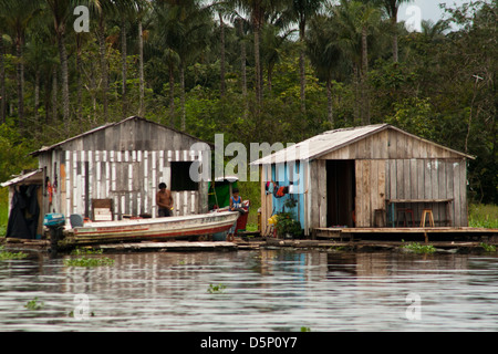 Maisons flottantes à proximité de Manaus, l'état d'Amazonas, au nord du Brésil. Rivière Noire Forêt Amazonienne. Banque D'Images