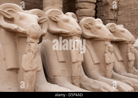 Sphinx avec Ram têtes à l'entrée du temple de Karnak Luxor Amun le Sud de l'Egypte Banque D'Images