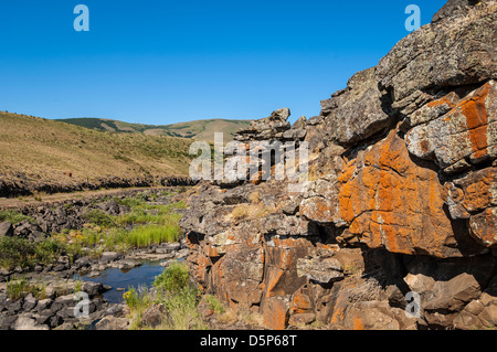 Couverts de lichen rock et flaques printanières le long de la rigole de la section Canyon de Klickitat Trail, Washington. Banque D'Images