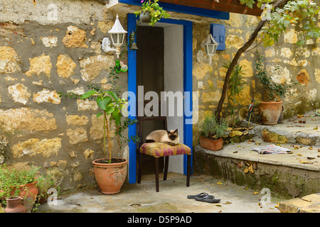 Chat Siamois assis sur une chaise à l'entrée de maison en pierre dans village sur une colline de yesilyurt turquie Banque D'Images