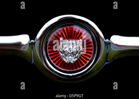 Emblème de Jaguar Banque D'Images