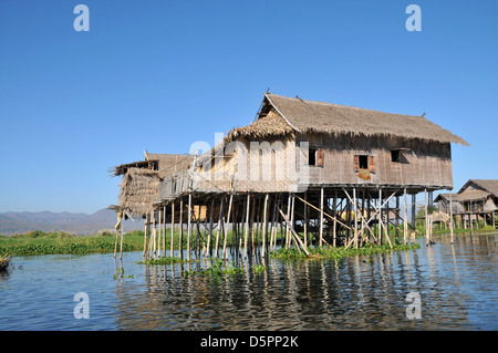 Maison sur pilotis traditionnelle, au Lac Inle, l'État de Shan, Myanmar, en Asie du sud-est Banque D'Images