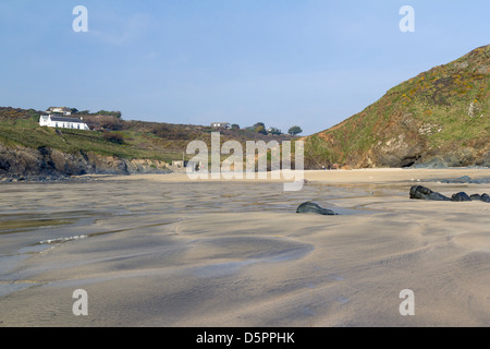 Sur la plage de l'anse Polurrian Meneau Cornwall England UK Banque D'Images