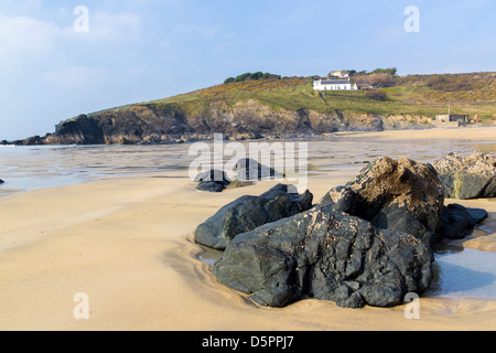 Sur la plage de l'anse Polurrian Meneau Cornwall England UK Banque D'Images