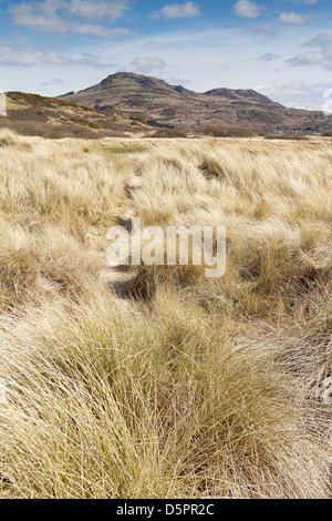 Voir des dunes de sable avec des montagnes près de Porthmadog, au Pays de Galles Banque D'Images