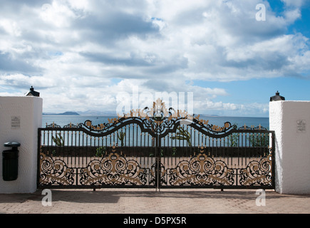 Fer à repasser gate design avec des formes particulières de couleur noir et or Banque D'Images