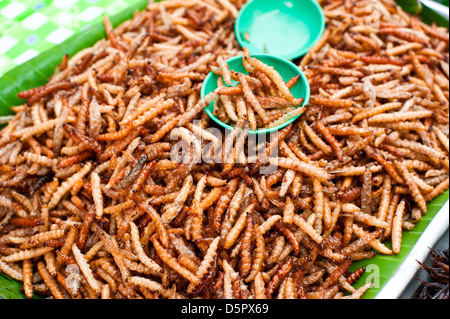 La nourriture thaïe au marché. Les insectes frits farine pour snack Banque D'Images