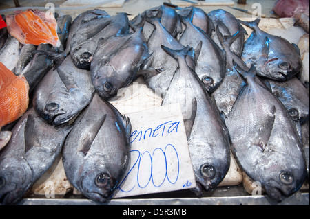 Mercado Central, l'un des plus importants du Chili Chili Santiago Marchés de fruits de mer frais Banque D'Images