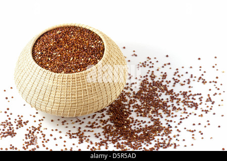 Quinoa rouge biologique (Chenopodium quinoa) dans un panier maya fabriqué à Lubaantun, Belize, sur fond blanc Banque D'Images