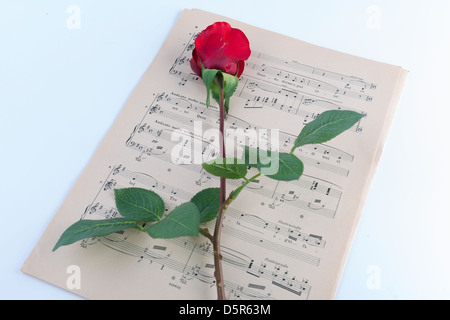 Une feuille de musique avec une rose rouge Banque D'Images