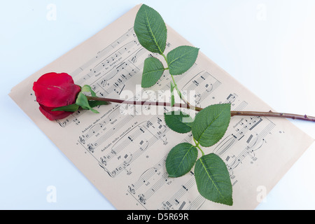 Une feuille de musique avec une rose rouge Banque D'Images