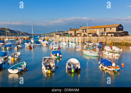 Bateaux de pêche dans le port de Lyme Regis Dorset England UK GB EU Europe Banque D'Images