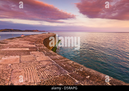 Lyme Regis Cobb Sunset, le Cobb à Lyme Regis Dorset Angleterre GB Europe Banque D'Images