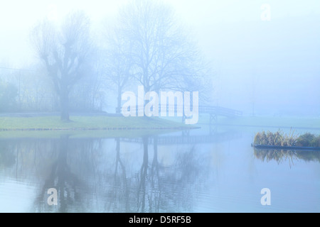 Un épais brouillard sur le lac tôt le matin Banque D'Images