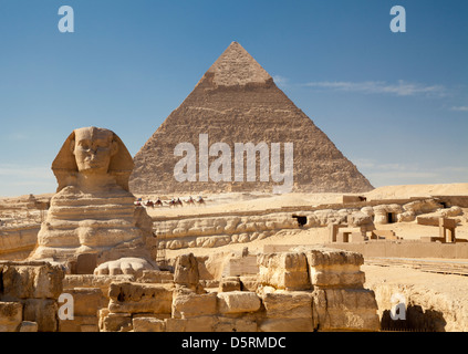 Le grand Sphinx avec la pyramide de Khafré et derrière une rangée de chameaux à Gizeh en Egypte Banque D'Images