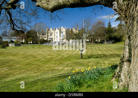 19e siècle l'abbaye de singleton partie de l'université de Swansea au Pays de Galles UK Banque D'Images