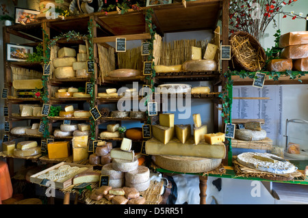 ARTISAN FROMAGER FRANÇAIS AFFICHER Variété de fromages faits à la main sur l'affichage dans la fromagerie artisanale 'fromagerie Caseus' Montreuil sur Mer France Banque D'Images