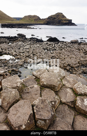 Les colonnes de basalte à la Giant's Causeway Banque D'Images