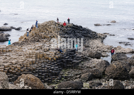 Les colonnes de basalte à la Giant's Causeway Banque D'Images