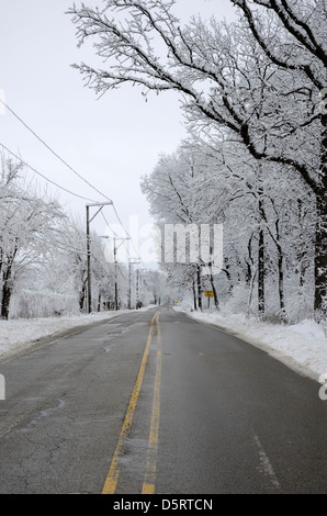 Route mouillée entouré par la neige a couvert des arbres dans la forêt. Banque D'Images