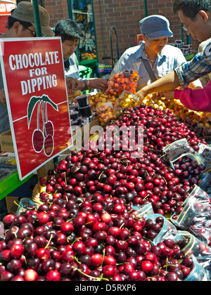 Cerises fraîchement cueillies en vente à l'étal de fruits Fishermans Wharf San Francisco California USA Banque D'Images