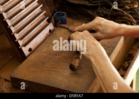 Cigare dans la fabrication à l'usine de cigares Joyas de Panama, village de la Pintada, province de Cocle, République du Panama, Amérique centrale. Banque D'Images