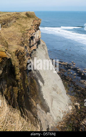 Couleur gris rock formation vu du Cleveland Way falaise juste au sud du chemin d'Saltwick Bay, près de Whitby, North Yorkshire, England, UK Banque D'Images