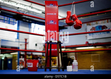 Fichier - Un fichier photo datée du 13 janvier 2010 montre les caractères 'Universum Box-Promotion' dans le coin d'un anneau à la salle de sport à Hambourg, Allemagne. Club de boxe de Hambourg Universum Box-Promotion a déposé un dossier d'insolvabilité. Photo : Rolf Vennenbernd Banque D'Images