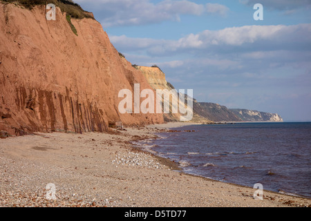 Des falaises de grès rouge de l'Est, Cornwall, Devon, UK. L'Europe Banque D'Images